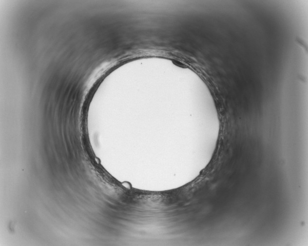 X0000100200104200806271650