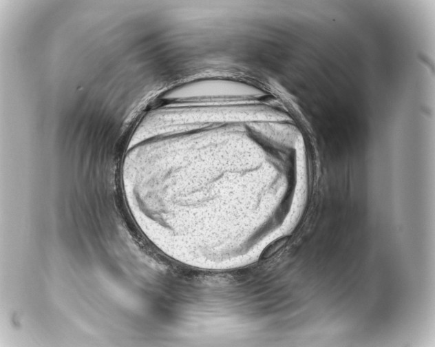 X0000100200106200806271650