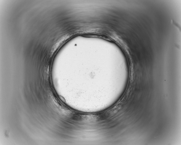 X0000100200107200806271650