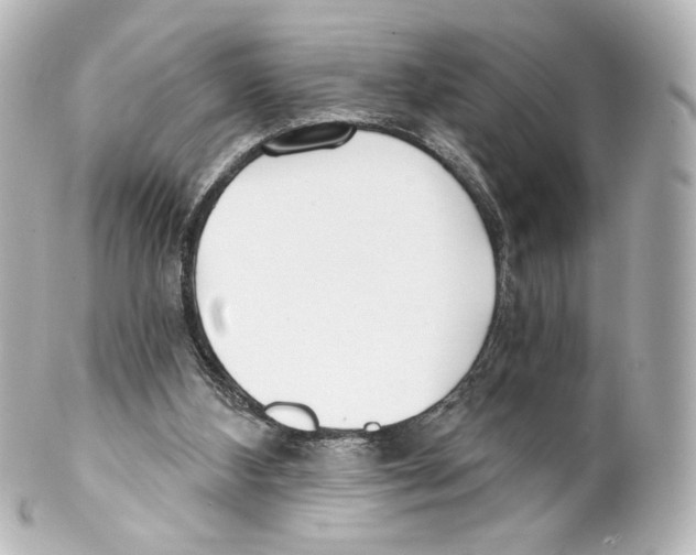 X0000100200108200806271650