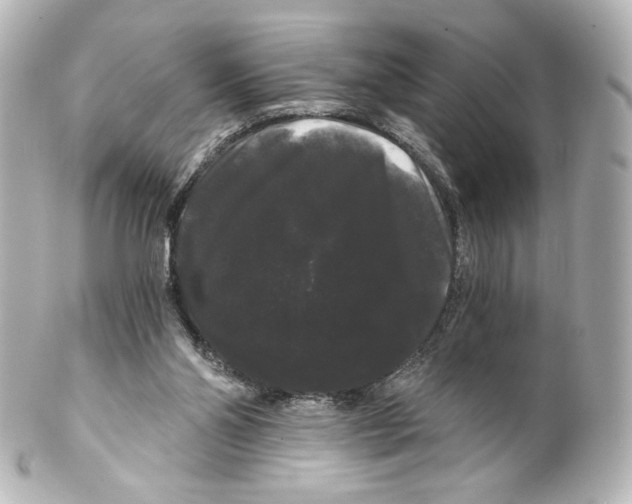 X0000100200110200806271650