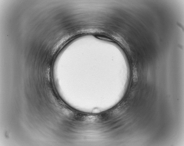 X0000100200111200806271650