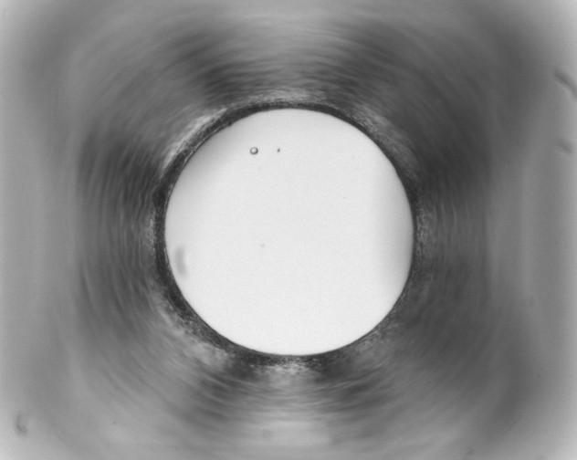 X0000100200112200806271650