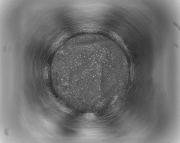 X0000100200114200806271650