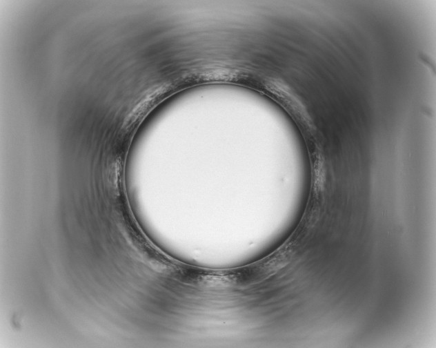 X0000100200115200806271650