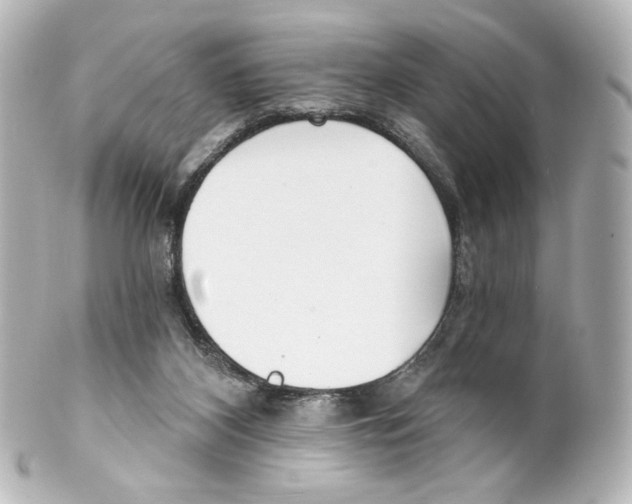 X0000100200116200806271650