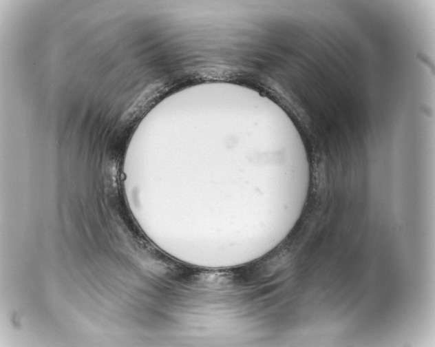 X0000100200117200806271650