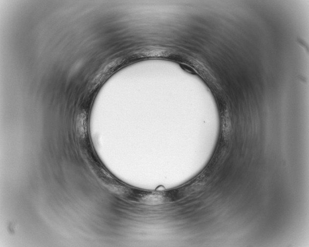 X0000100200119200806271650