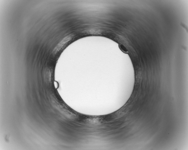 X0000100200120200806271650