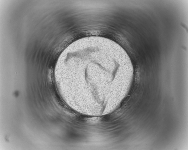 X0000100200122200806271650