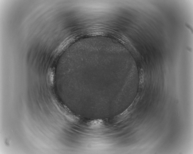 X0000100200124200806271650