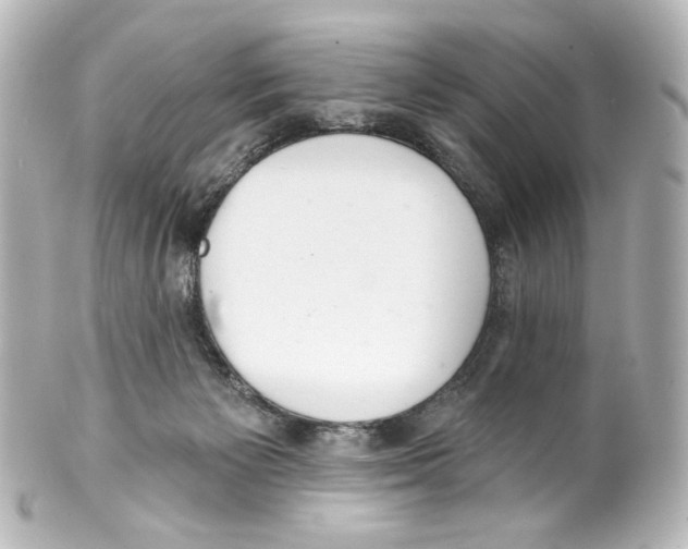 X0000100200125200806271650