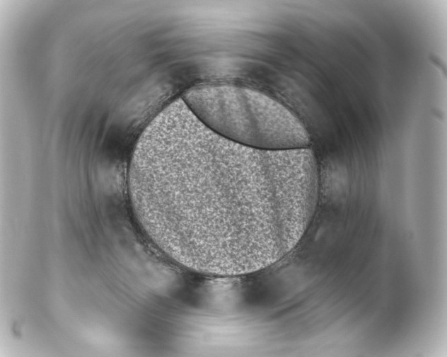 X0000100200126200806271650