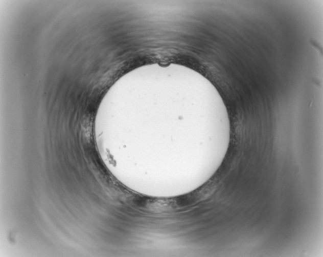 X0000100200129200806271650