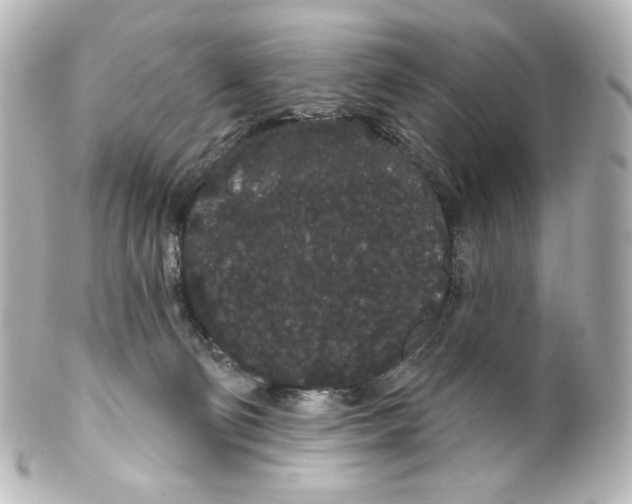 X0000100200130200806271650