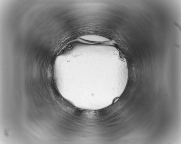 X0000100200131200806271650