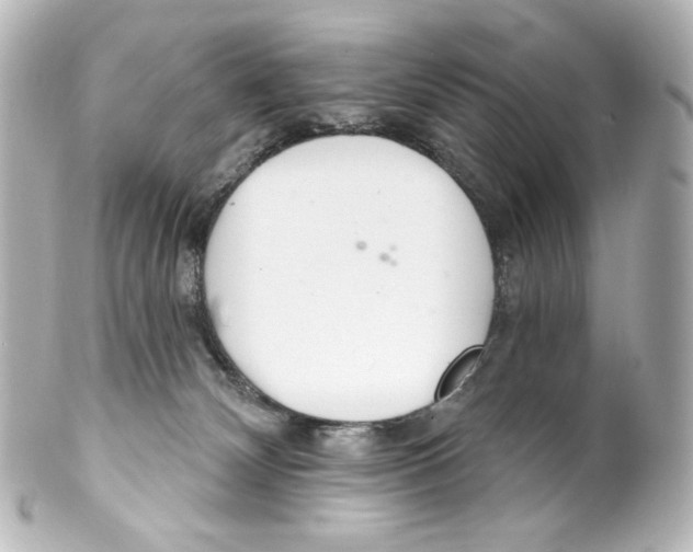 X0000100200132200806271650