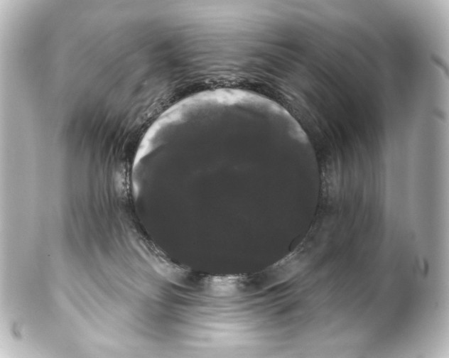 X0000100200134200806271650