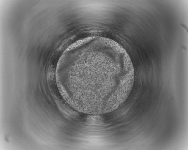 X0000100200137200806271650