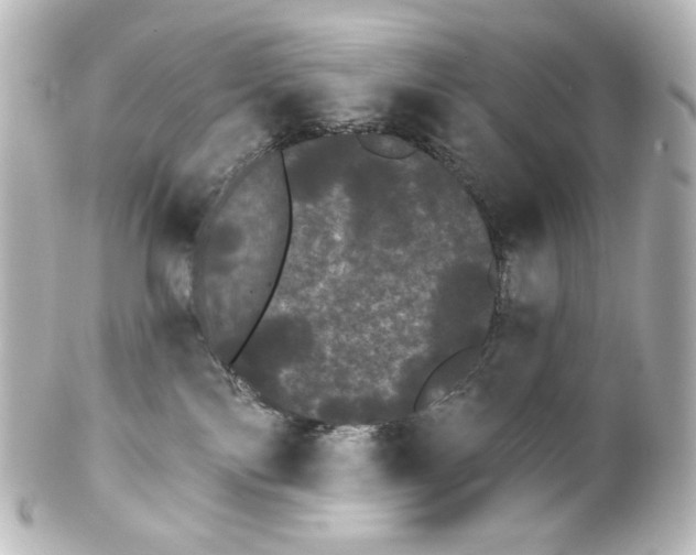 X0000100200138200806271650