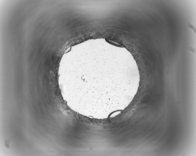 X0000100200144200806271650