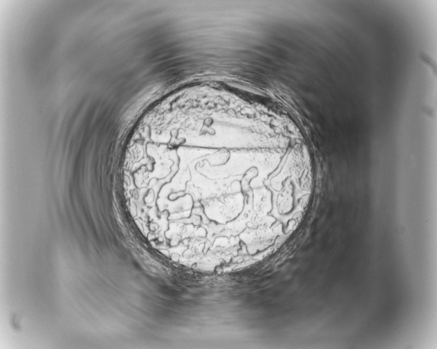 X0000100200145200806271649