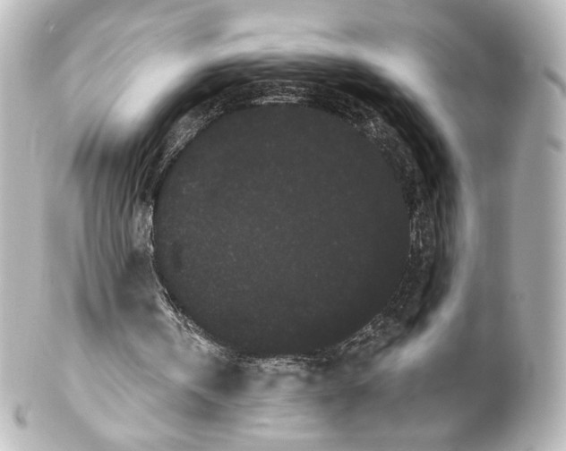 X0000100200146200806271649