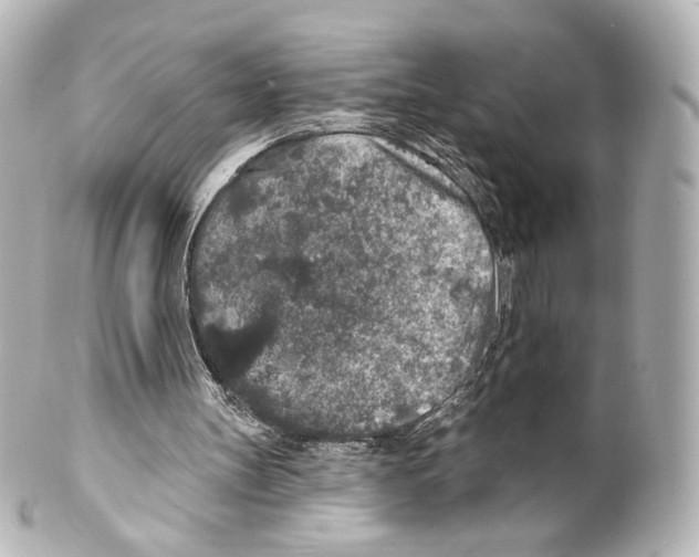 X0000100200147200806271649