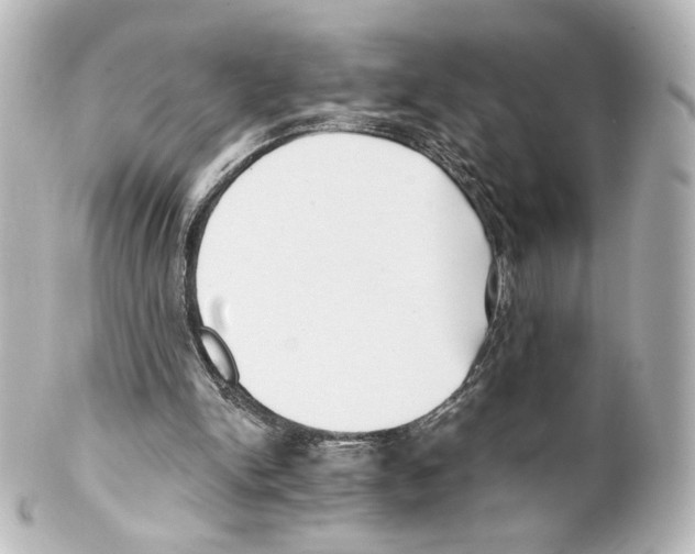 X0000100200150200806271649