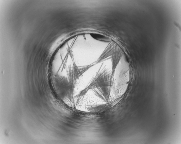 X0000100200151200806271649
