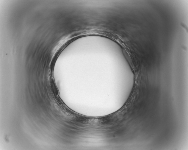 X0000100200152200806271649