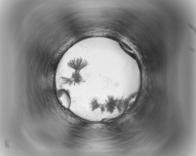 X0000100200153200806271649