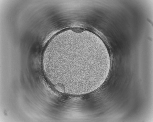 X0000100200155200806271649