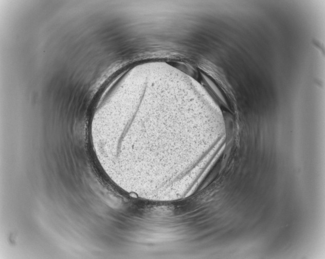 X0000100200156200806271649