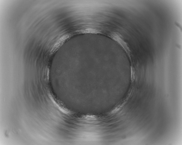 X0000100200157200806271649