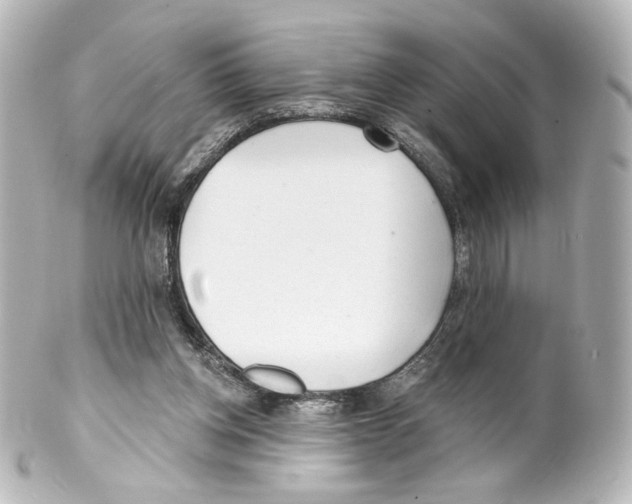 X0000100200158200806271649