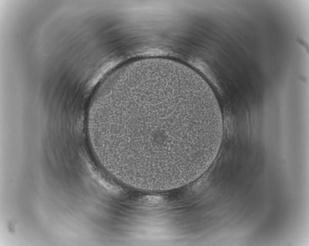 X0000100200159200806271649