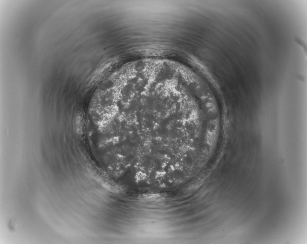 X0000100200161200806271649