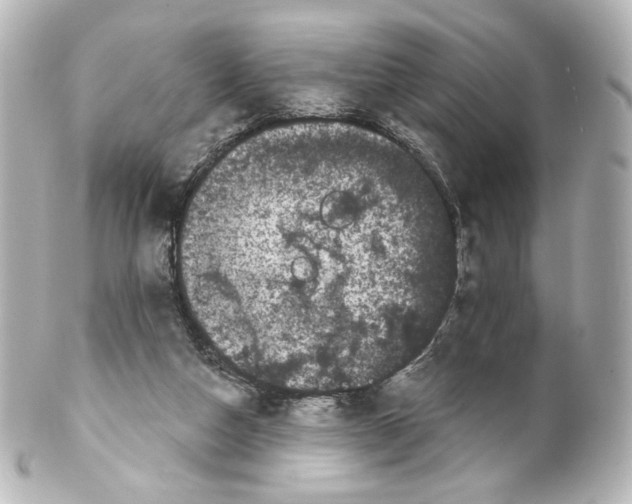 X0000100200162200806271649