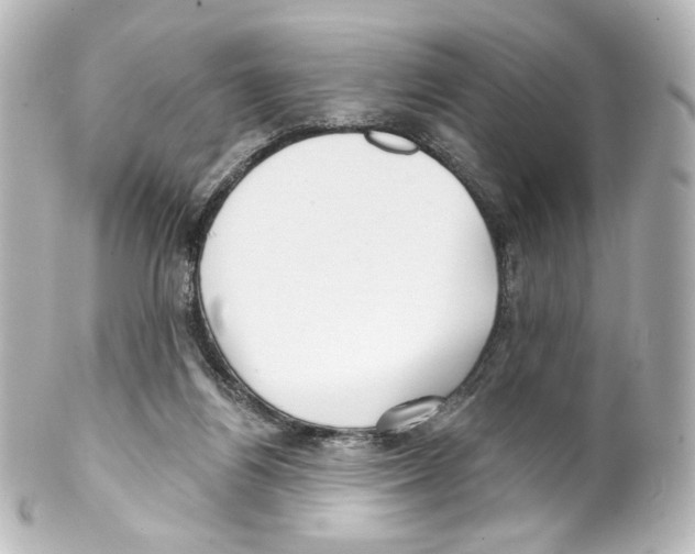 X0000100200164200806271649