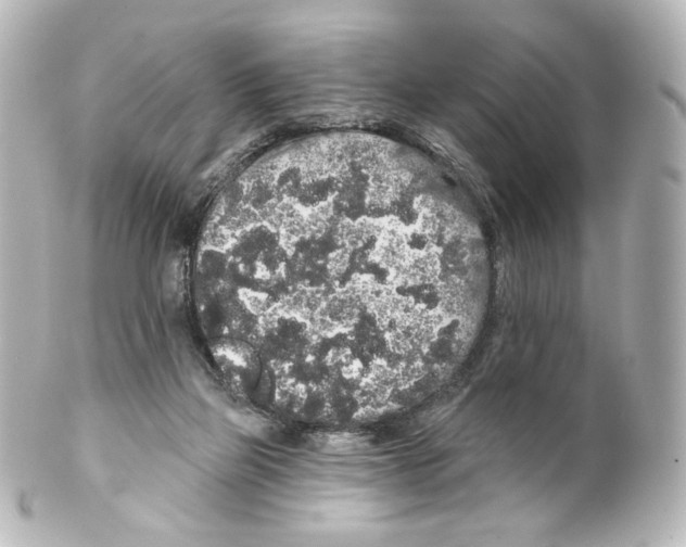 X0000100200165200806271649