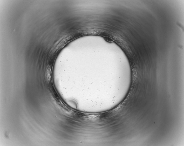 X0000100200166200806271649