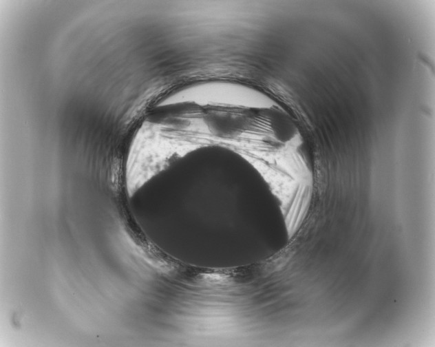 X0000100200167200806271649