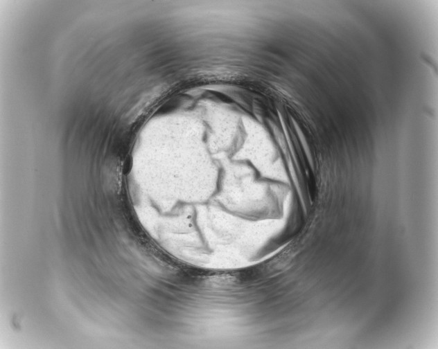 X0000100200168200806271649