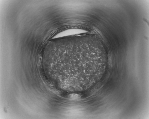 X0000100200169200806271649