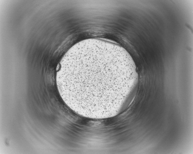 X0000100200170200806271649