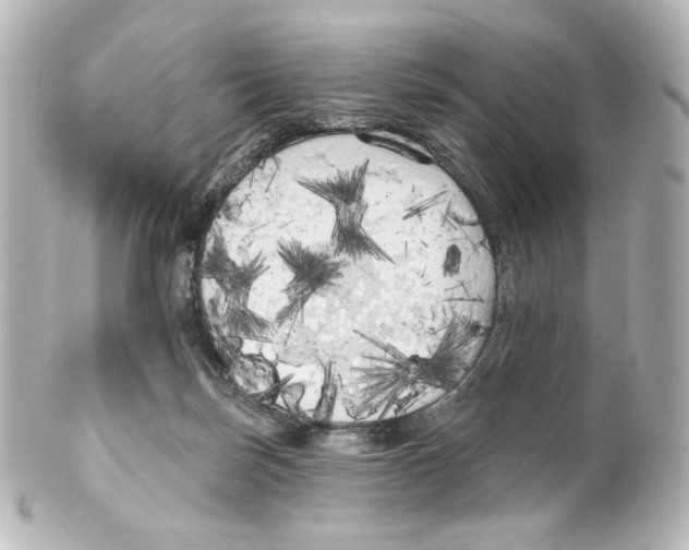 X0000100200171200806271649