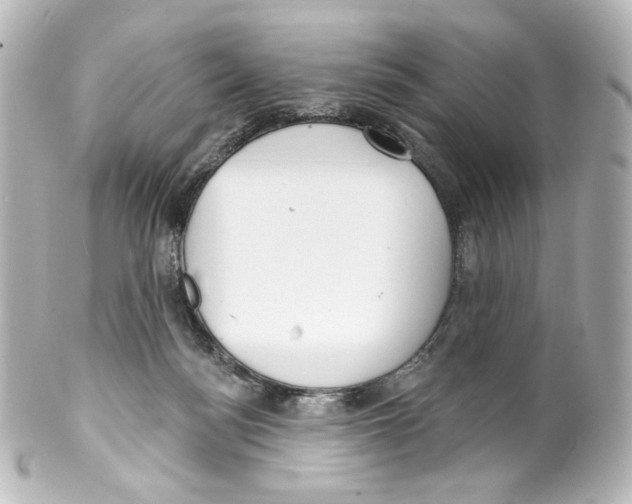 X0000100200172200806271649