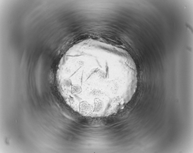 X0000100200173200806271649