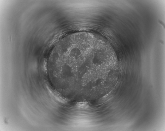 X0000100200175200806271649